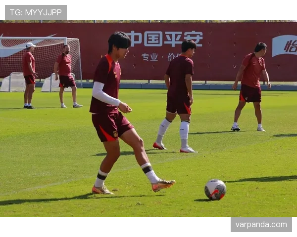 澳大利亚男足备战亚洲杯，阵容磨合与比赛表现成近期关注焦点